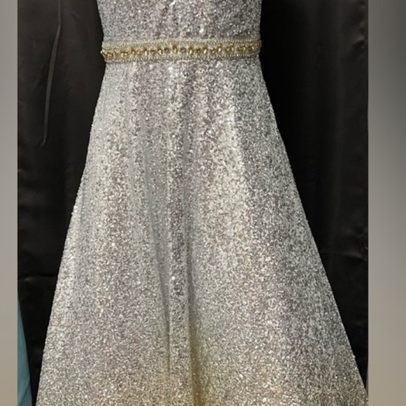 Silver/Gold gown. Size 12 - Picture 3 of 4